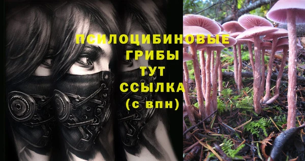 дурь Вязьма