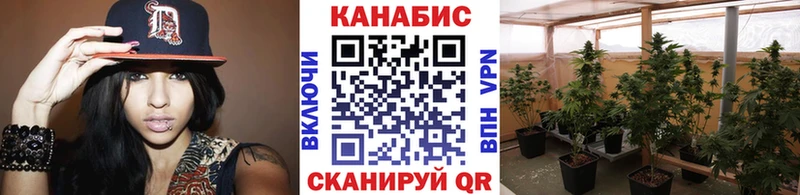 купить  сайты  Электроугли  Бошки Шишки план 